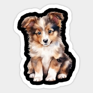 Puppy  Shetland Sheperd Sticker